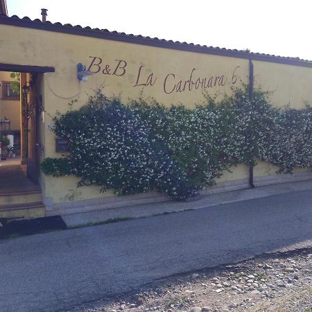 La Carbonara 6 Panzió Bardolino Kültér fotó