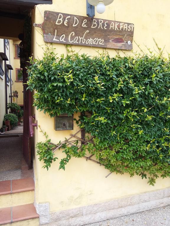 La Carbonara 6 Panzió Bardolino Kültér fotó
