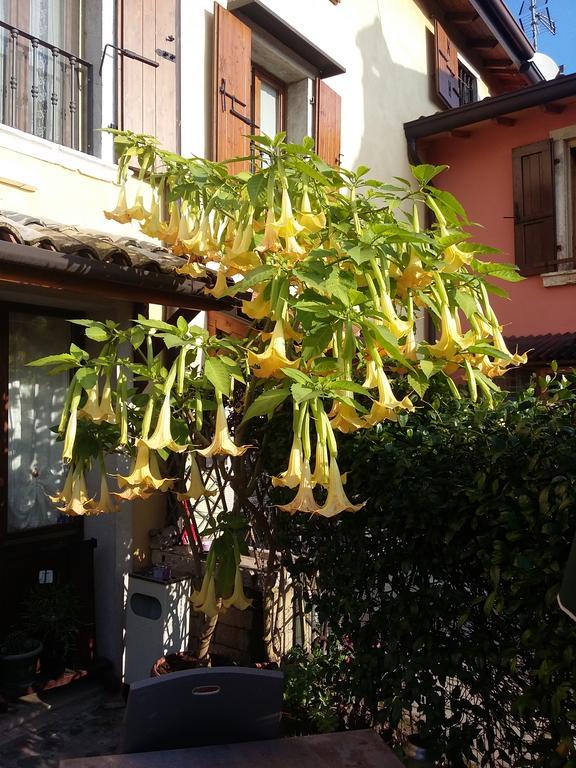 La Carbonara 6 Panzió Bardolino Kültér fotó
