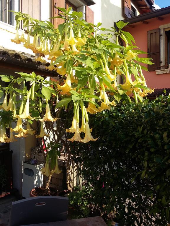 La Carbonara 6 Panzió Bardolino Kültér fotó